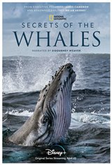 Secrets of the Whales (Disney+) Affiche de film