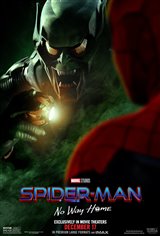 Spider-Man: No Way Home Poster