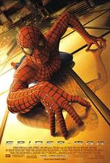Spider-Man (v.f.) / Hommes en noir 2 Large Poster