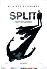 Split Movie Poster Movie Poster