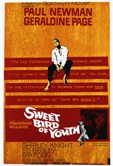 Sweet Bird of Youth Affiche de film