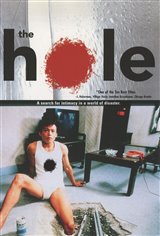 The Hole Movie Poster