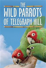 The Wild Parrots of Telegraph Hill Movie Poster Movie Poster