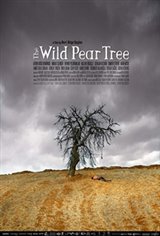 The Wild Pear Tree Affiche de film