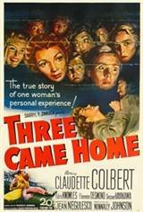 Three Came Home Movie Poster