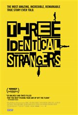 Three Identical Strangers Affiche de film