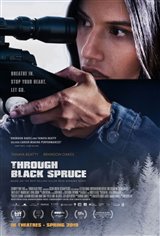 Through Black Spruce Poster