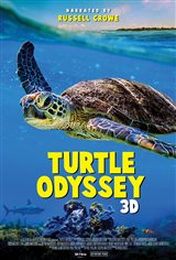 Turtle Odyssey Affiche de film