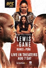 UFC 265 Poster