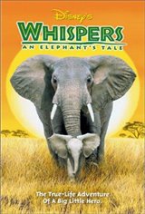 Whispers: An Elephant's Tale poster