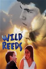 Wild Reeds Poster