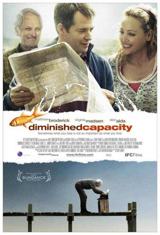 Diminished Capacity Large Poster