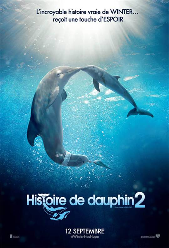 Histoire de dauphin 2 Large Poster