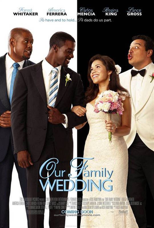 Our Family Wedding Large Poster