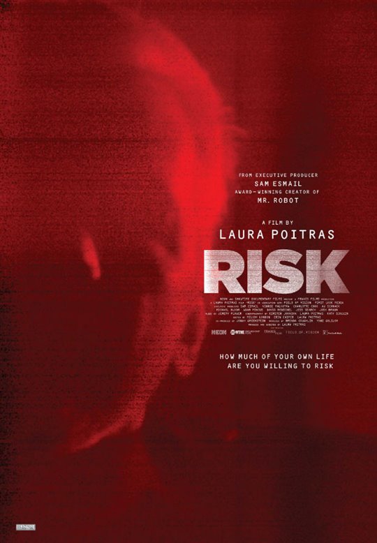 Risk Large Poster