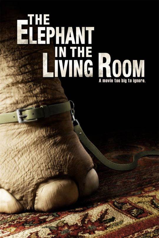 The Elephant in the Living Room Large Poster