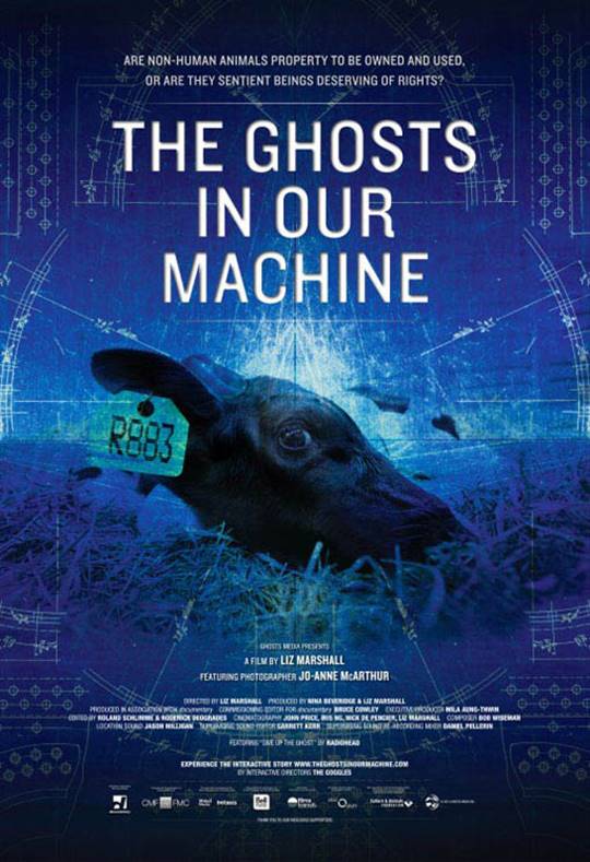 The Ghosts in Our Machine Large Poster