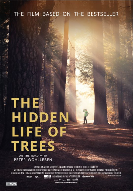 The Hidden Life of Trees Large Poster