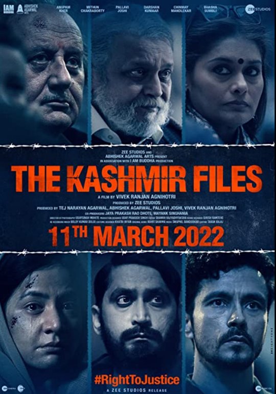 The Kashmir Files Large Poster