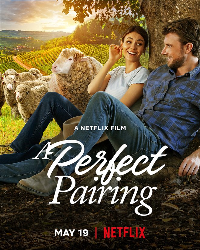 A Perfect Pairing (Netflix) Large Poster