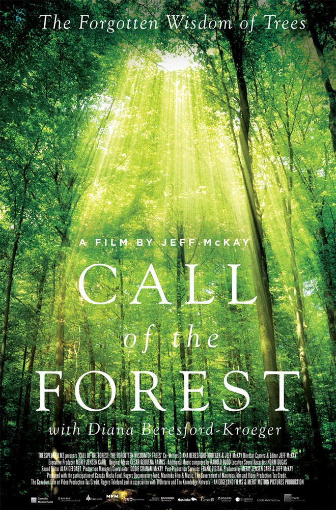 Call of the Forest: The Forgotten Wisdom of Trees Large Poster