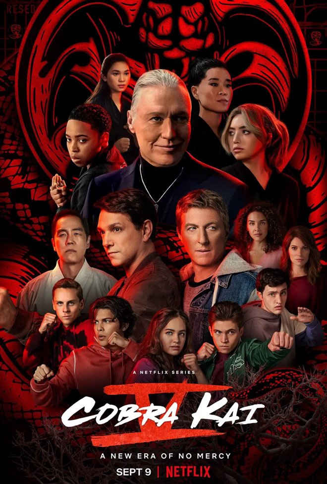 Cobra Kai (Netflix) Large Poster