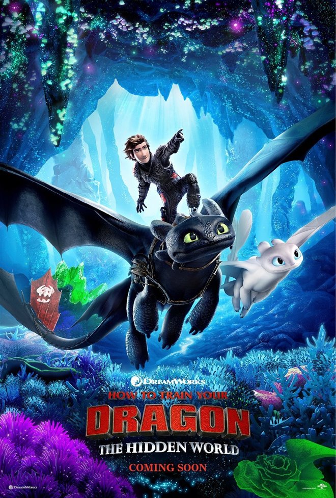 How to Train Your Dragon: The Hidden World Large Poster