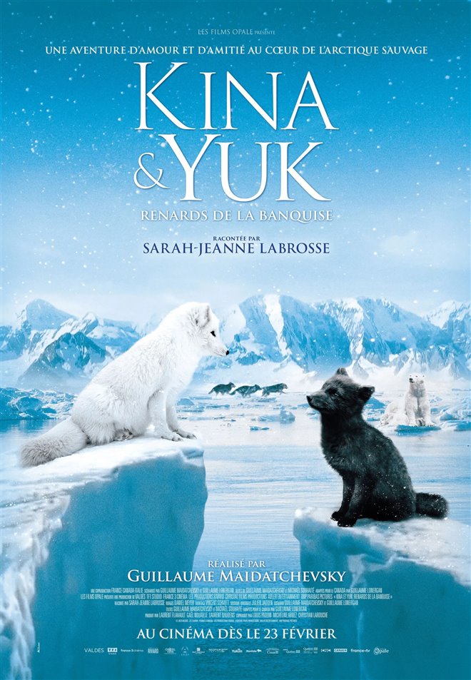 Kina & Yuk : Renards de la banquise (v.o.f.) Large Poster