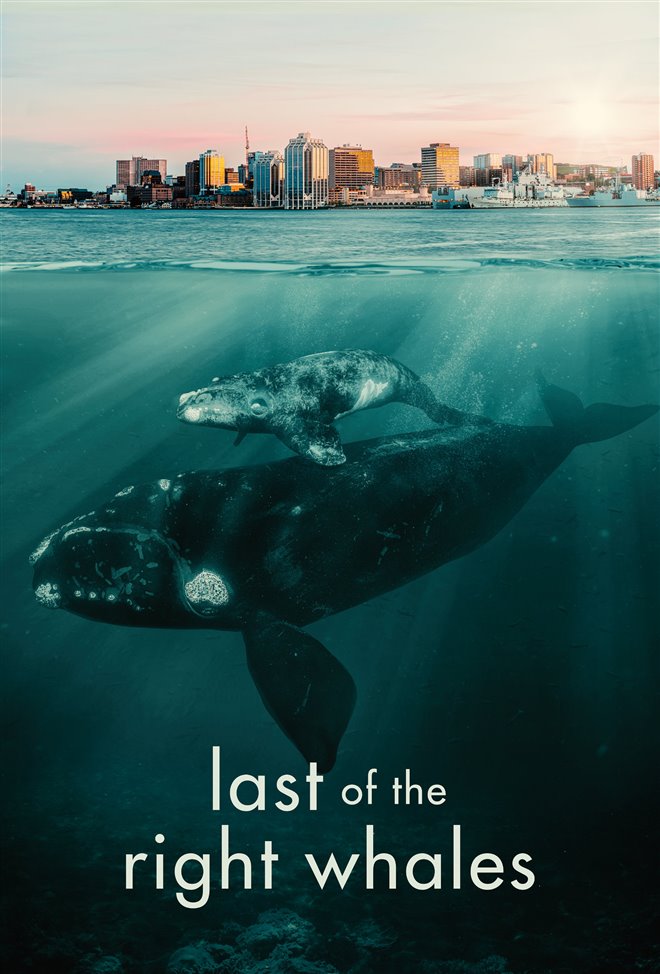 Last of the Right Whales Large Poster