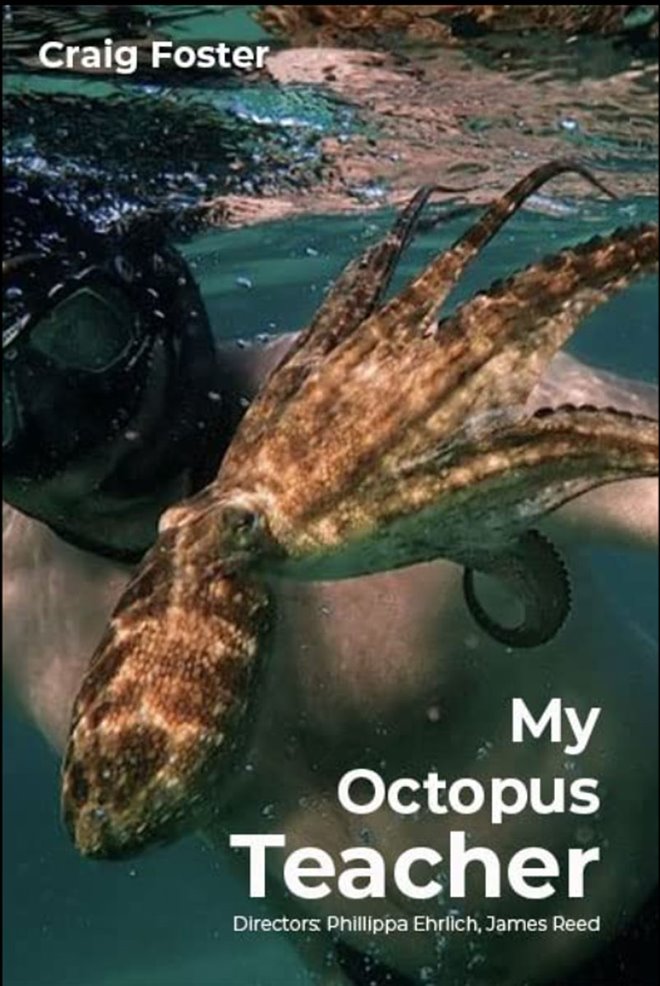 My Octopus Teacher (Netflix) Large Poster