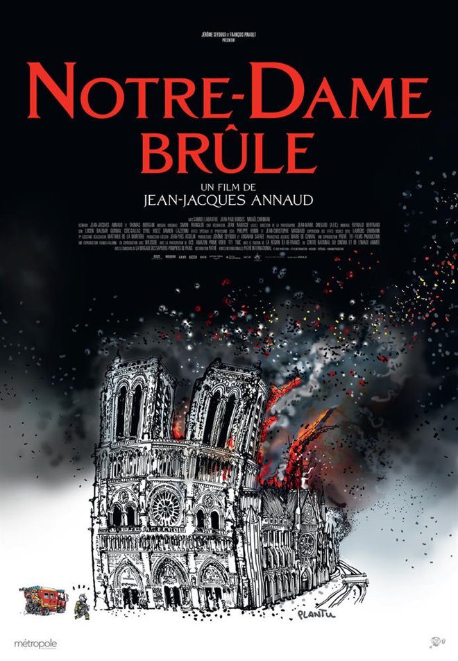 Notre-Dame brûle Large Poster