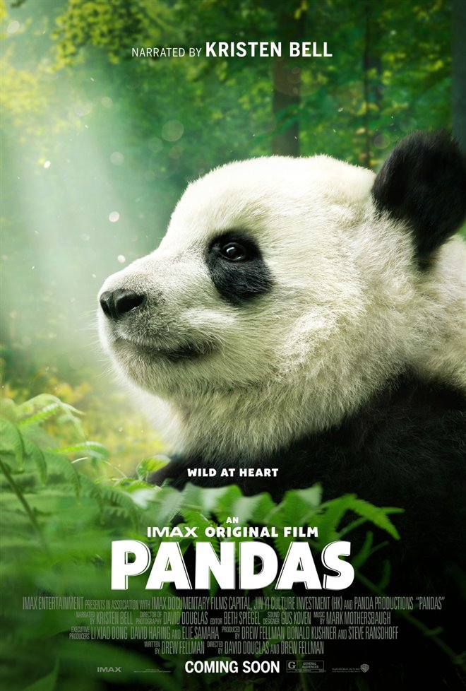 Pandas : L'expérience IMAX Large Poster