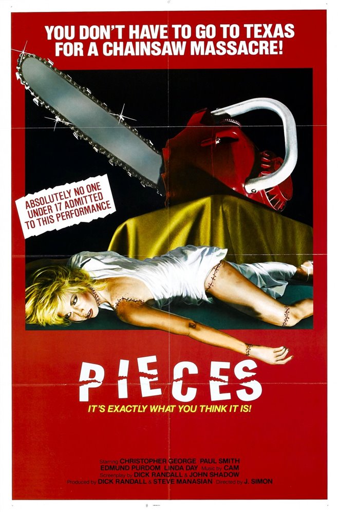 Pieces Large Poster