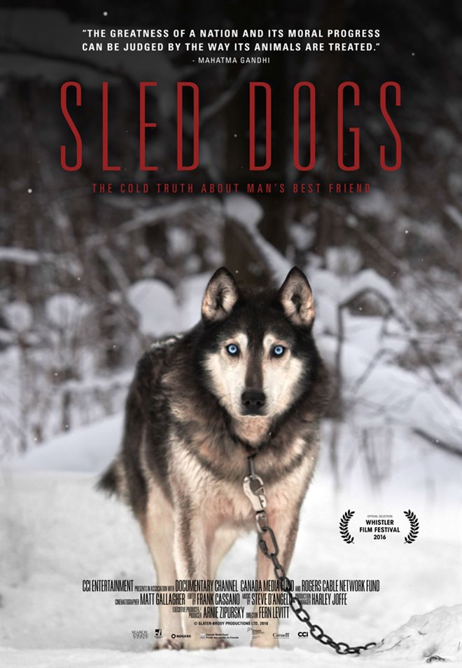 Sled Dogs Large Poster