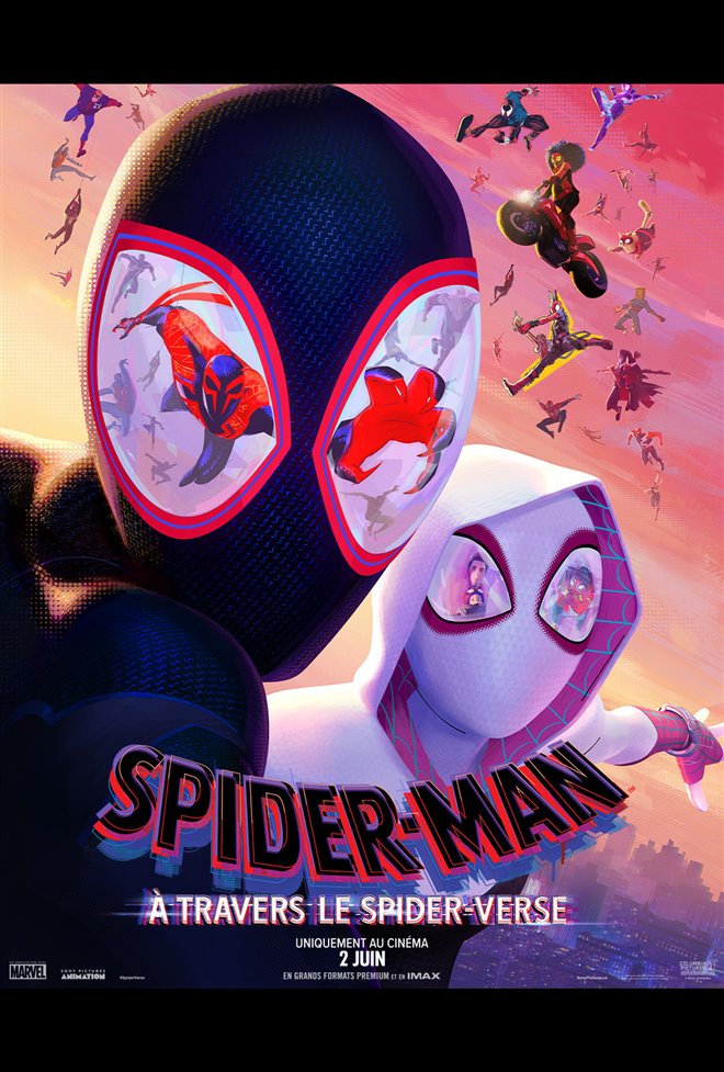 Spider-Man : À travers le Spider-Verse Large Poster