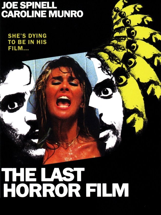 The Last Horror Film Large Poster