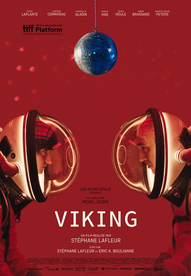 Viking Large Poster