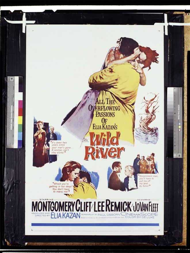 Wild River Large Poster