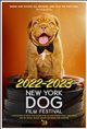 2022 NY DOG FILM FESTIVAL Poster