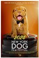 2024 New York Dog Film Festival Poster