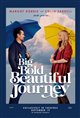 A Big Bold Beautiful Journey poster