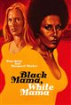 Black Mama, White Mama Movie Poster