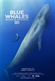 Blue Whales: Return of the Giants poster