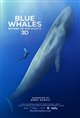 Blue Whales: Return of the Giants 3D poster