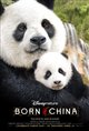Born in China Poster