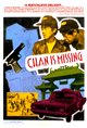 Chan is Missing Poster