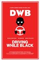 Driving While Black Movie Poster