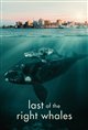 Last of the Right Whales poster