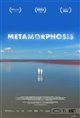 Metamorphosis Poster