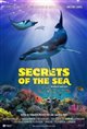 Secrets of the Sea 3D Poster